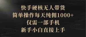 (9861期)快手硬核无人带货,简单操作每天纯佣1000+,仅需一部手机,新手小白直接上手-高华
