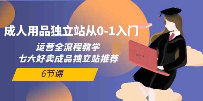 成人用品独立站从0-1入门,运营全流程教学,七大好卖成品独立站推荐(6节课)-高华