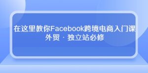 在这里教你Facebook跨境电商入门课,外贸·独立站必修(19节课)-高华