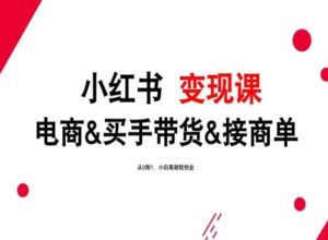 2024年最新小红书变现课,电商&买手带货&接商单,从0到1,小白高效轻创业-高华