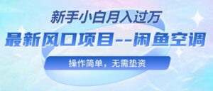 (10767期)最新风口项目—闲鱼空调,新手小白月入过万,操作简单,无需垫资-高华