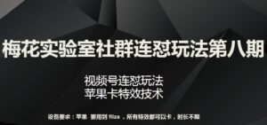 梅花实验室社群连怼玩法第八期,视频号连怼玩法 苹果卡特效技术-高华