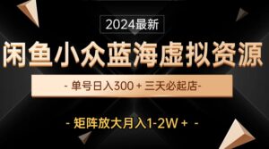 (10336期)最新闲鱼小众蓝海虚拟资源,单号日入300+,三天必起店,矩阵放大月入1-2W-高华