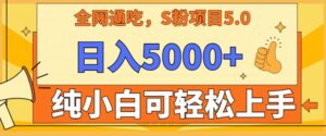 男粉项目5.0,最新野路子,纯小白可操作,有手就行,无脑照抄,纯保姆教学-高华