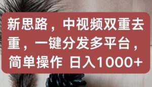 新思路,中视频双重去重,一键分发多平台,简单操作,日入1000+-高华