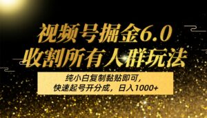 视频号掘金6.0收割所有人群玩法!纯小白复制黏贴即可,快速起号开分成,日入1000+-高华