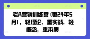 老A营销训练营(更24年5月),轻理论,重实战,轻概念,重本质-高华