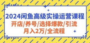 2024闲鱼高级实操运营课程:开店/养号/选择爆款/引流/月入2万/全流程-高华