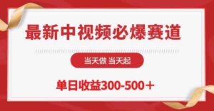 (10105期)最新中视频必爆赛道,当天做当天起,单日收益300-500+!-高华