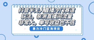 抖音半无人直播冷门赛道玩法,直播间流量非常大,单号收益也不低!-高华