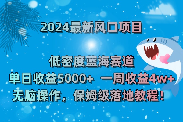 2024最新风口项目 低密度蓝海赛道,日收益5000+周收益4w+ 无脑操作-高华