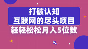 打破认知,互联网的尽头项目,轻轻松松月入5位教-高华