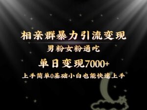 全网首发相亲群暴力引流男粉女粉通吃变现玩法,单日变现7000+保姆教学1.0-高华
