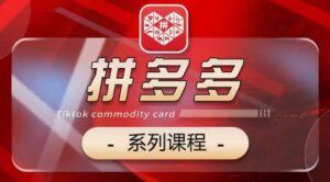2024拼多多系列课,【基础】【运营】【活动】【推广】【玩法】5大模块-高华