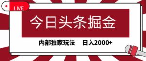 (9832期)今日头条掘金,30秒一篇文章,内部独家玩法,日入2000+-高华