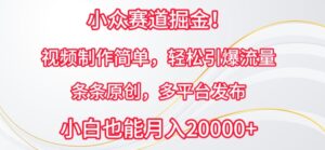 小众赛道掘金,视频制作简单,轻松引爆流量,条条原创,多平台发布-高华
