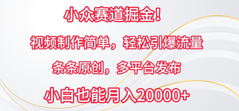 小众赛道掘金,视频制作简单,轻松引爆流量,条条原创,多平台发布-高华