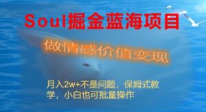 Soul掘金蓝海项目细分赛道,做情感价值变现,月入2w+不是问题-高华