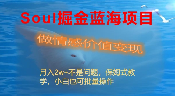 Soul掘金蓝海项目细分赛道,做情感价值变现,月入2w+不是问题-高华
