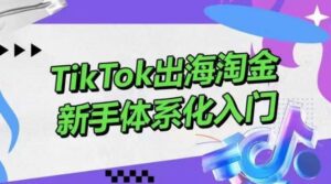 TikTok出海淘金,新手体系化入门,零基础快速入门,掌握短视频、直播带货等引流到变现的知识-高华